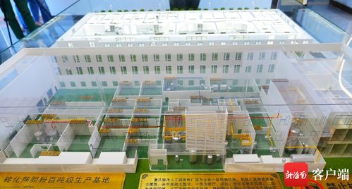 美安科技新城 打造創新藥企新高地，引領珍稀中藥材替代與軟件科技融合發展