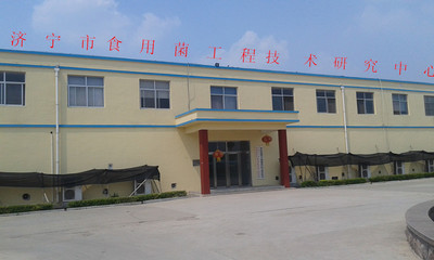 軟件科技領域內的技術開發 創新驅動，賦能未來